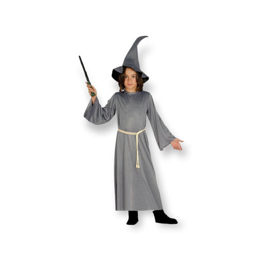Picture of GREY WIZARD COSTUME 5-6 YEARS